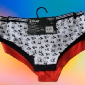 NWT - DISNEY 3 Pack Hipsters - Sz L